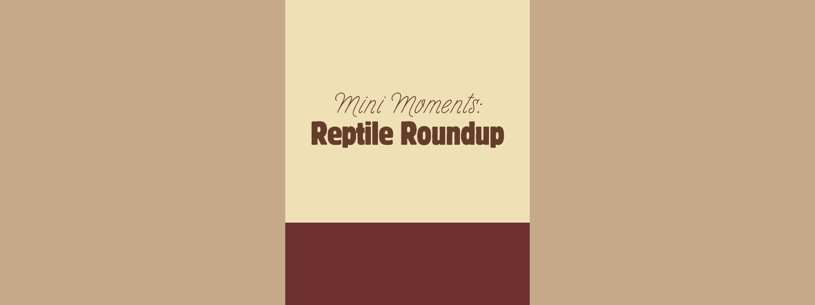 Event: Mini Moments: Reptile Roundup