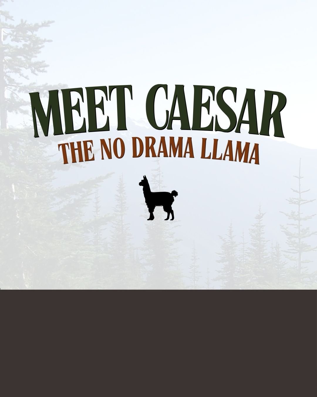 Event: Meet Caesar the No Dram Llama