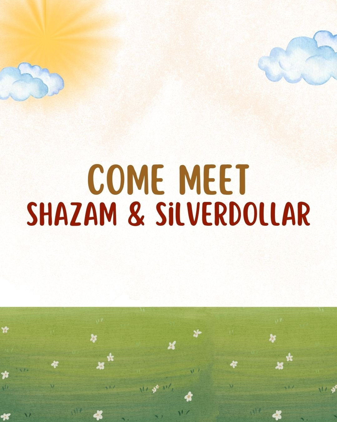 Event: Come Meet Shazam & Silverdollar!